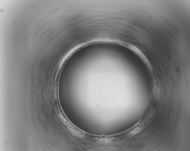 X0000056001004200508261745