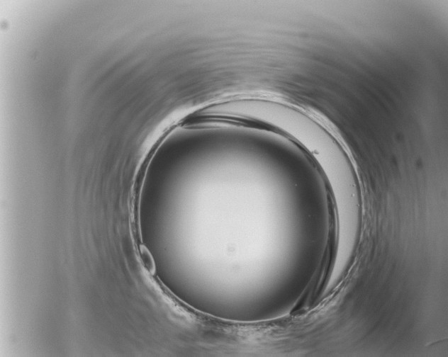 X0000056001005200508261745