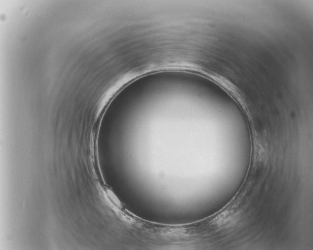 X0000056001006200508261745