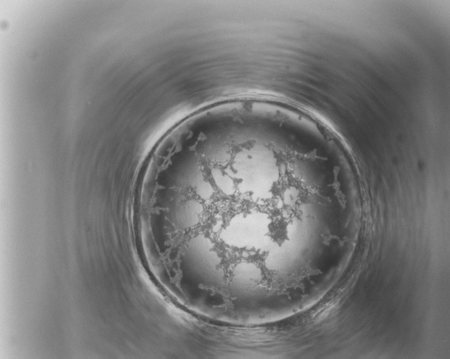 X0000056001007200508261745