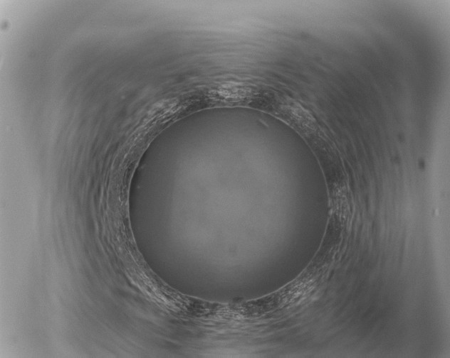 X0000056001009200508261744