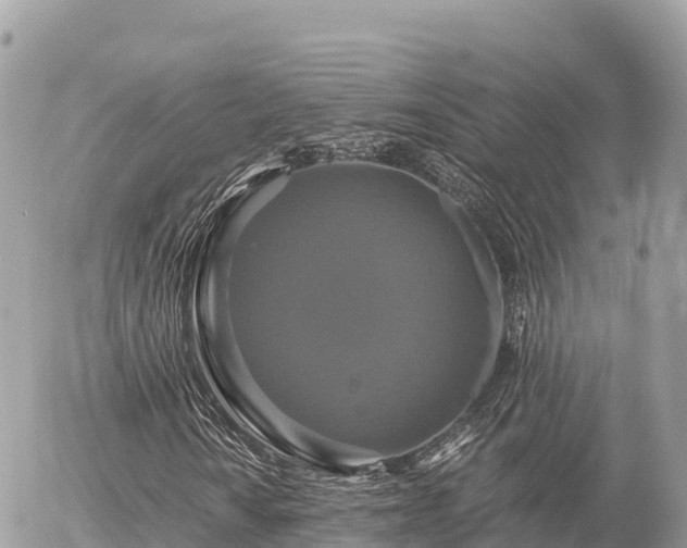 X0000056001010200508261744