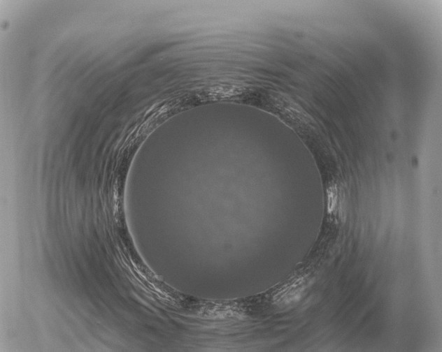 X0000056001011200508261744