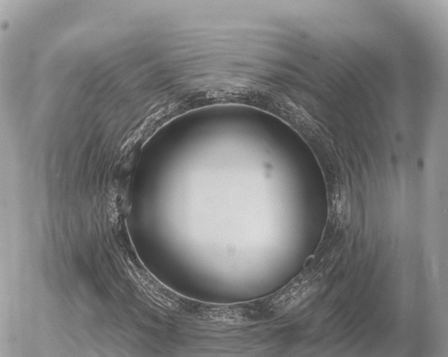 X0000056001012200508261744