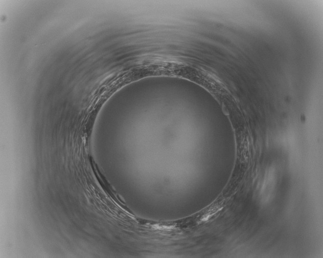 X0000056001013200508261744