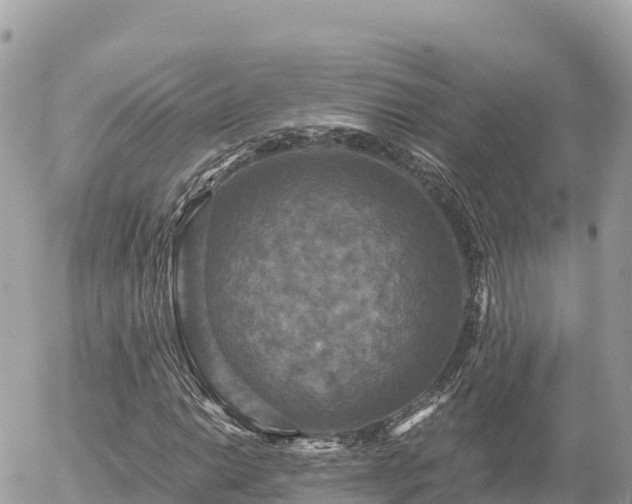 X0000056001014200508261744