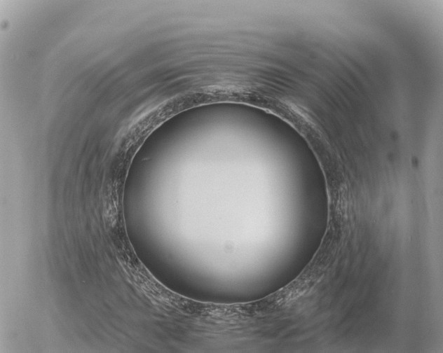 X0000056001015200508261744