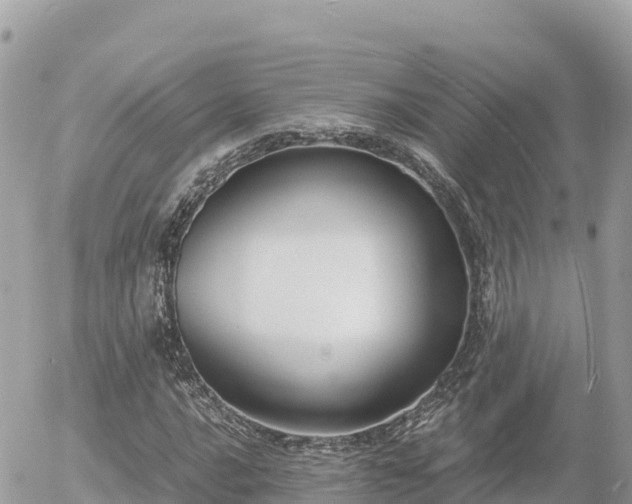 X0000056001016200508261744