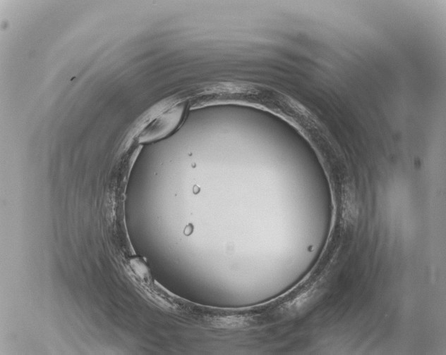 X0000056001017200508261744