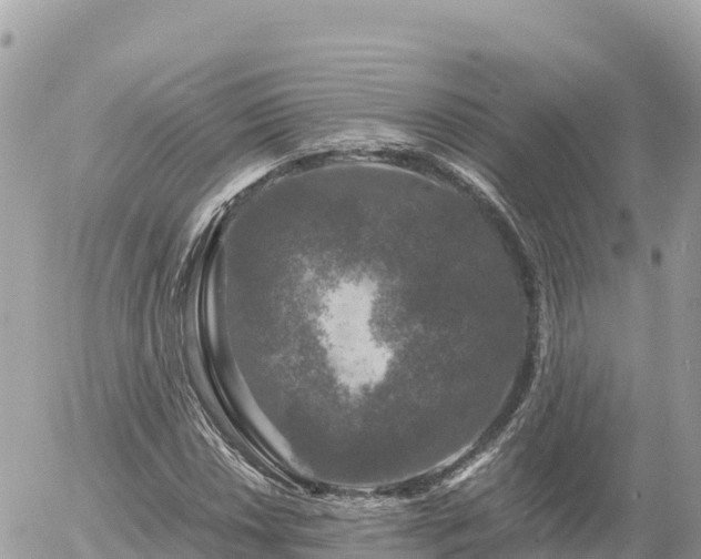 X0000056001018200508261744