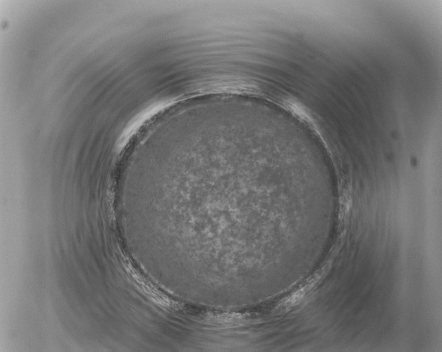 X0000056001019200508261744