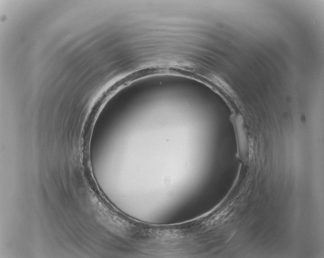 X0000056001020200508261744