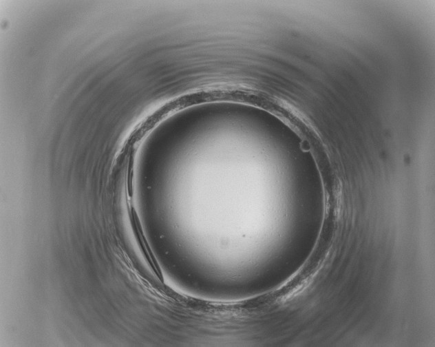 X0000056001021200508261744