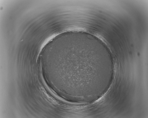 X0000056001022200508261744