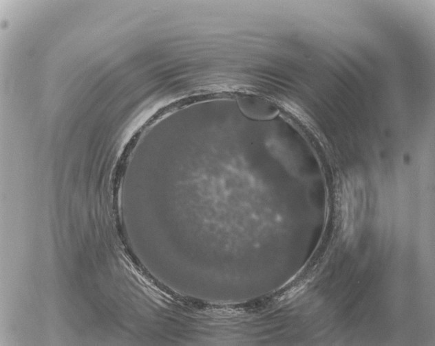 X0000056001023200508261744