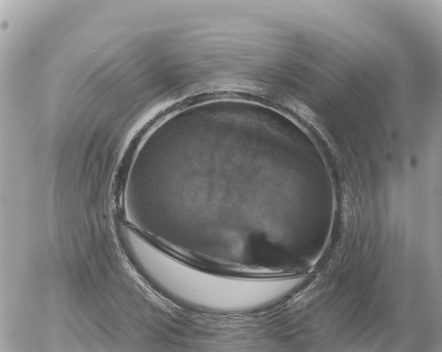 X0000056001024200508261744