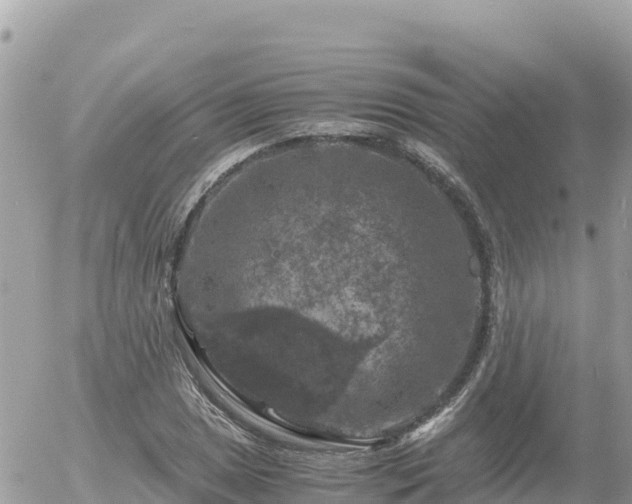 X0000056001025200508261744