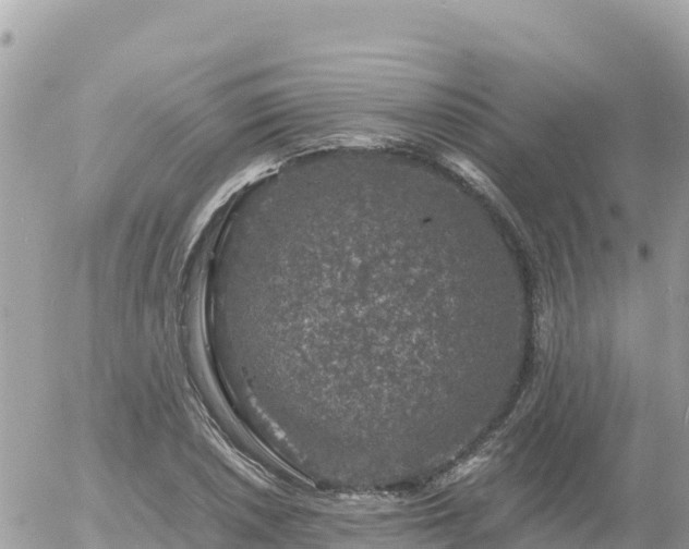 X0000056001026200508261744