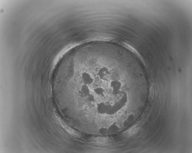 X0000056001027200508261744