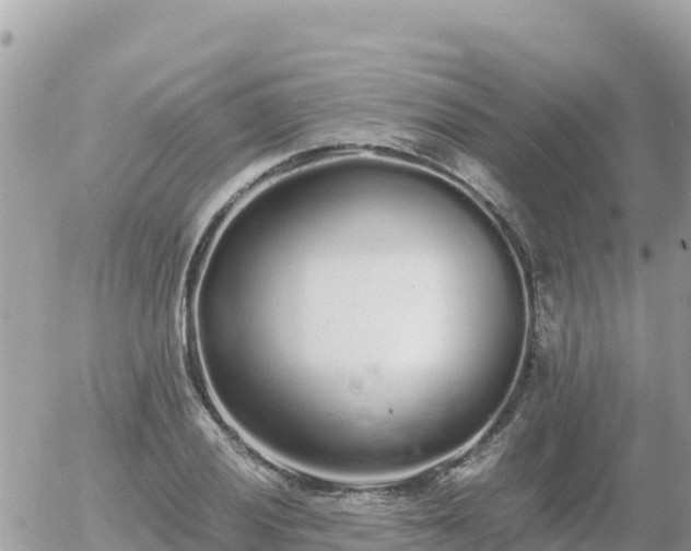 X0000056001028200508261744