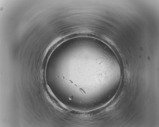 X0000056001029200508261744