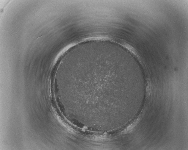 X0000056001030200508261744