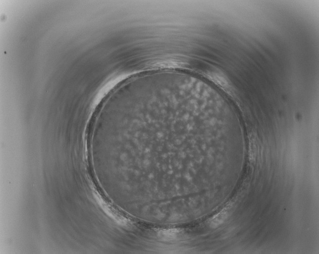 X0000056001031200508261744