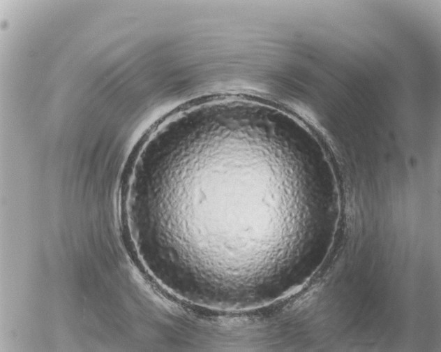 X0000056001032200508261744