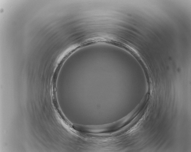 X0000056001034200508261744