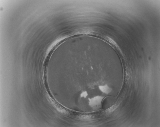 X0000056001035200508261744