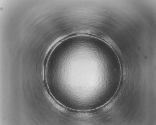 X0000056001036200508261744