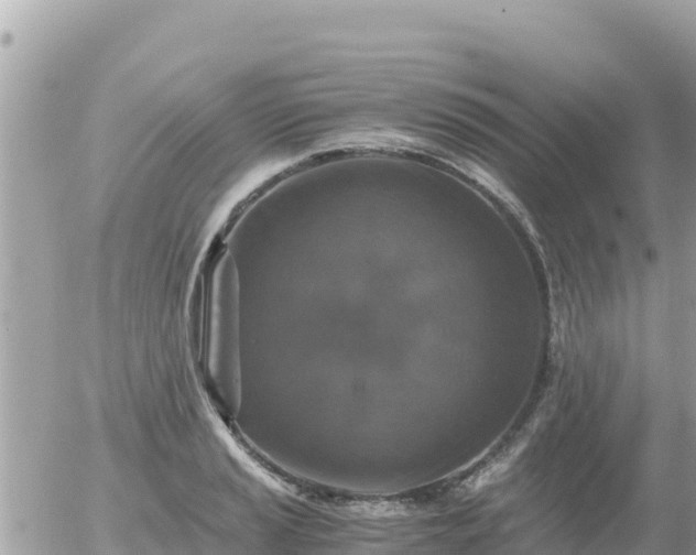 X0000056001037200508261744