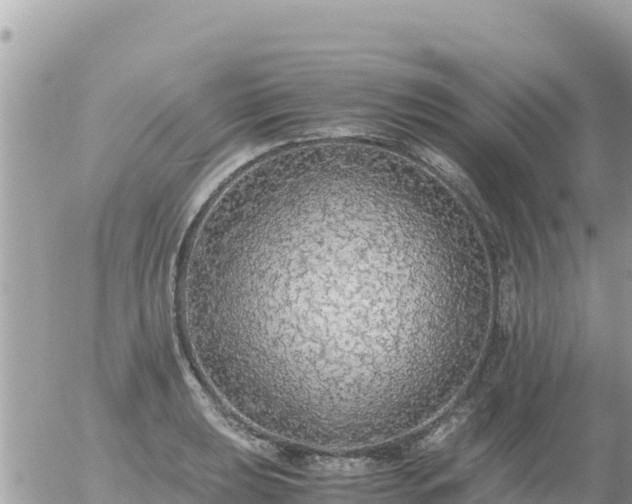 X0000056001039200508261744