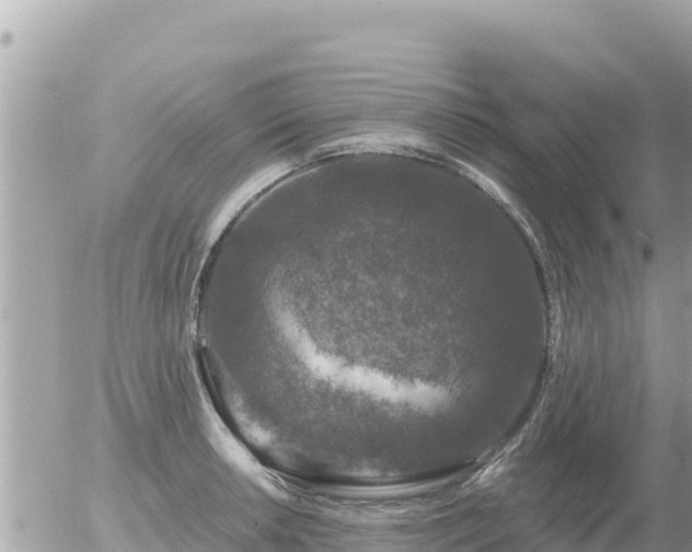 X0000056001042200508261745