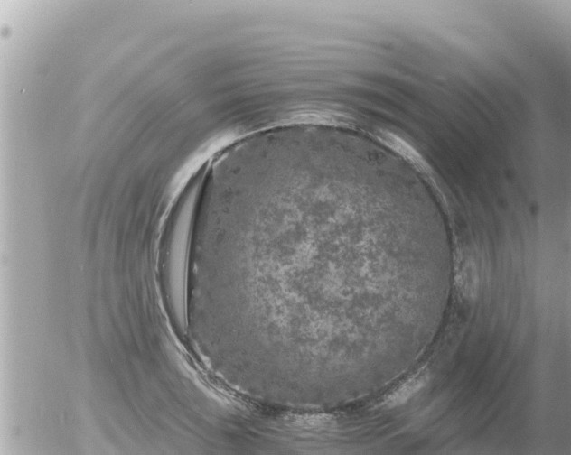 X0000056001043200508261745