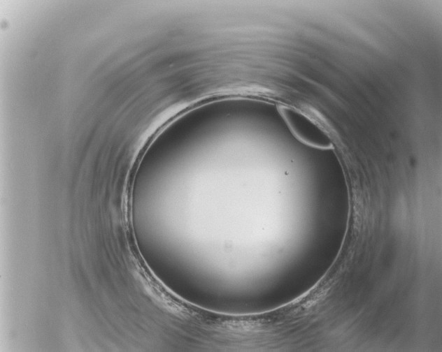 X0000056001044200508261745