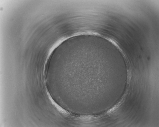 X0000056001046200508261745