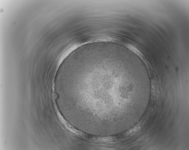 X0000056001047200508261745