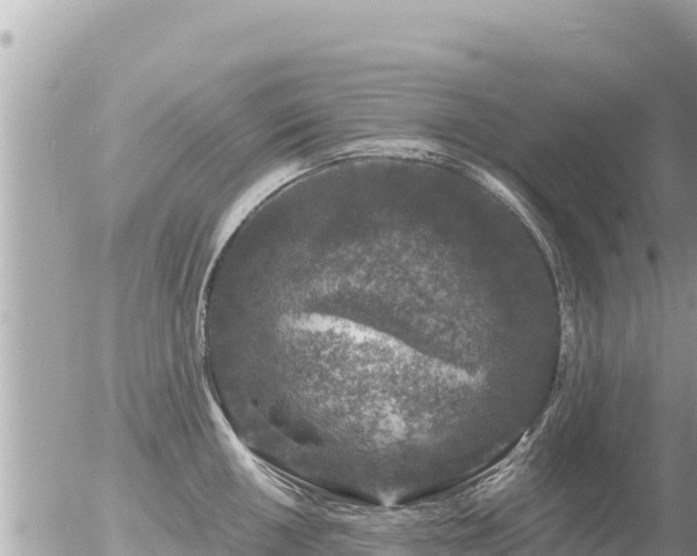 X0000056001050200508261745