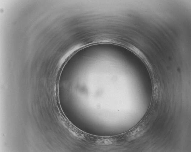 X0000056001051200508261745