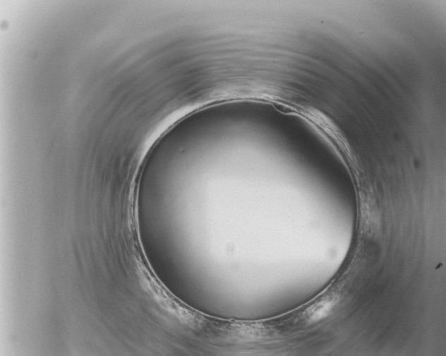 X0000056001052200508261745