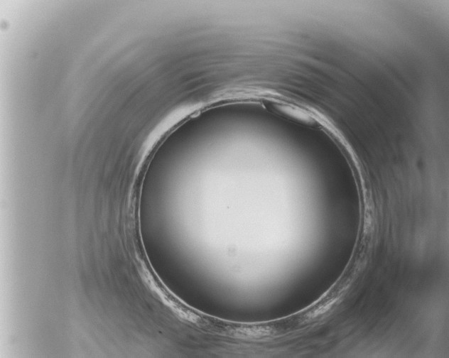 X0000056001053200508261745