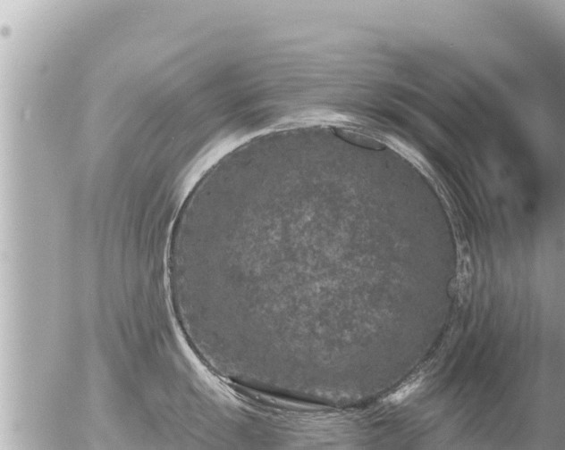 X0000056001055200508261745