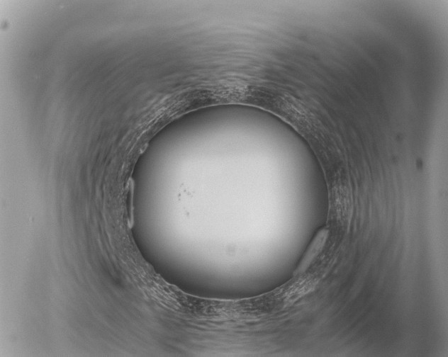 X0000056001057200508261744