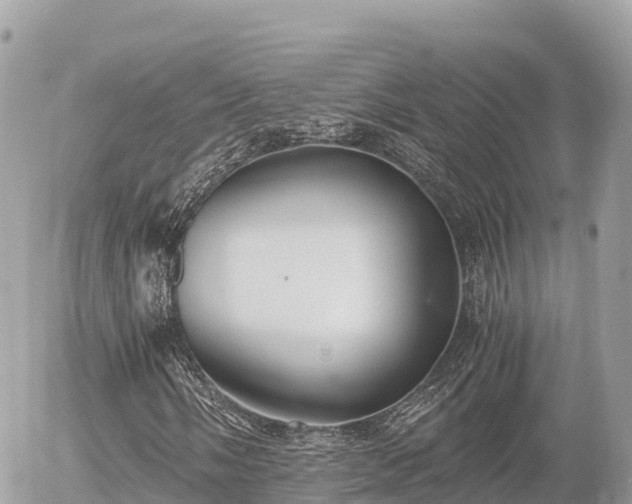 X0000056001058200508261744