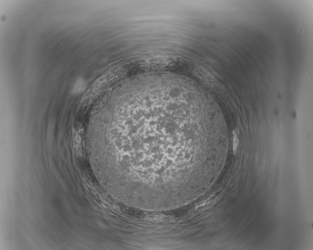 X0000056001059200508261744