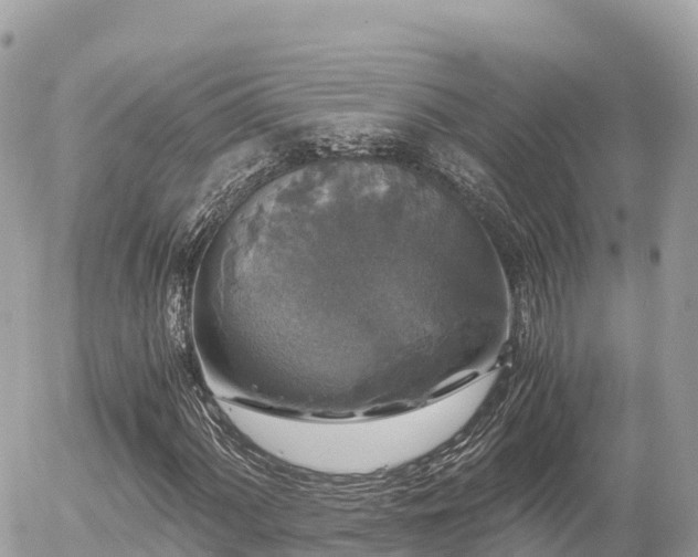 X0000056001060200508261744