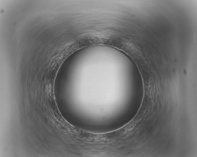 X0000056001061200508261744