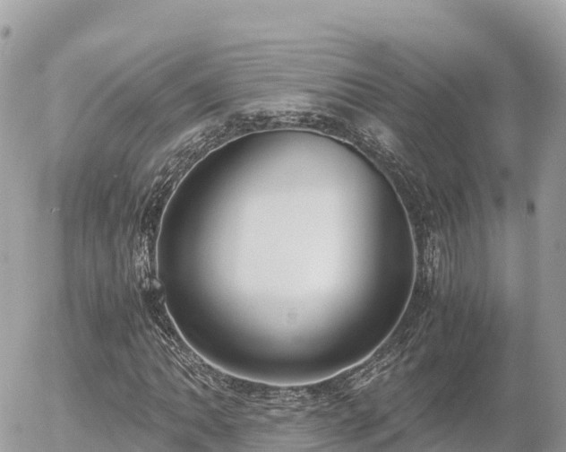 X0000056001062200508261744