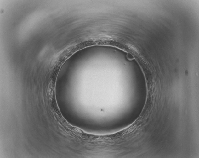 X0000056001063200508261744